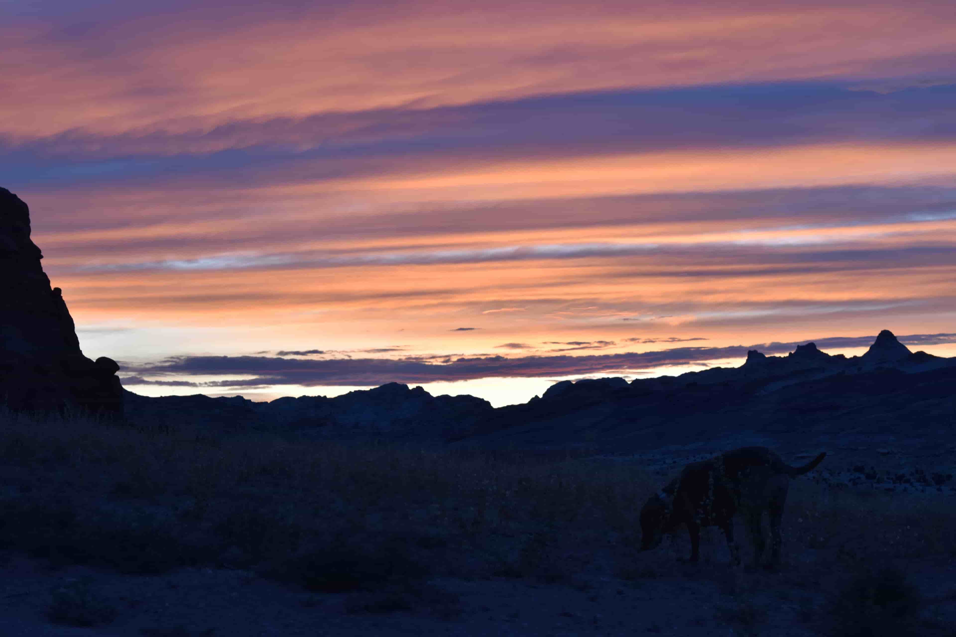 junie desert sunset